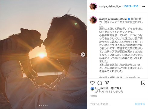 西内まりや 愛犬 ティアラ ペット 犬 Instagram インスタ 犬垢 死