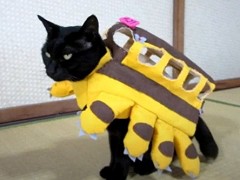 となりのトトロネコバスコスプレフリーサイズ