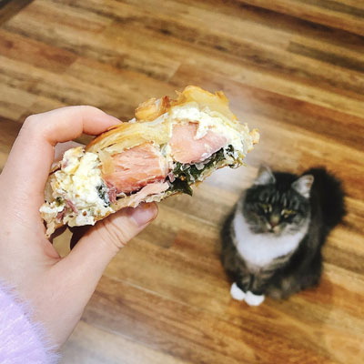 フィッシュパイ