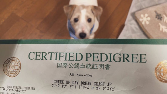 ジャッキーさん本名