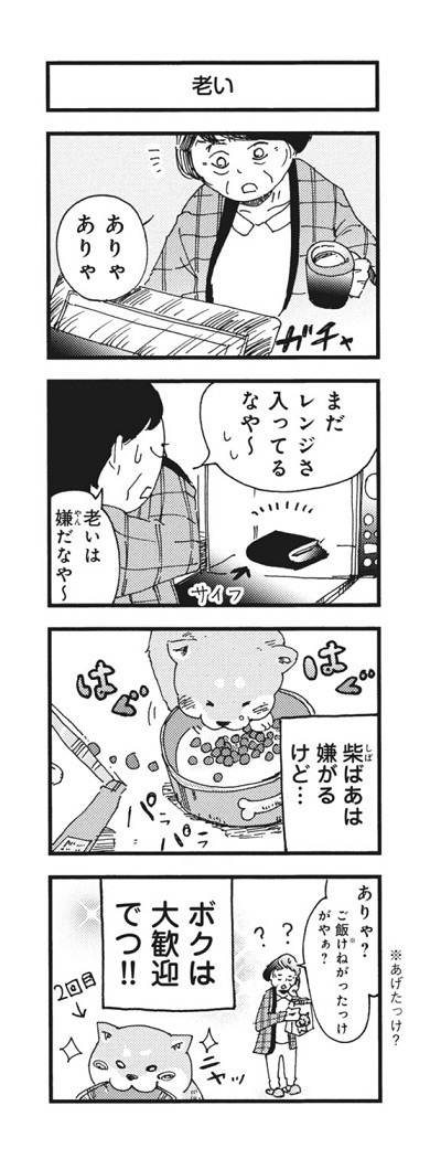 柴ばあと豆柴太
