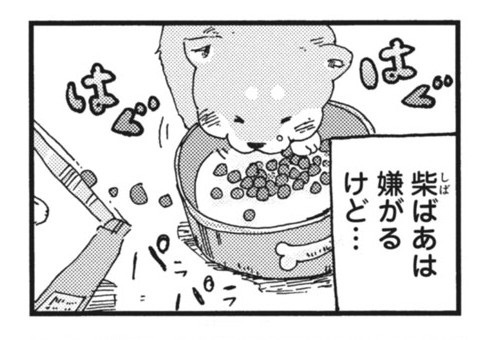 柴ばあと豆柴太