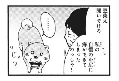 柴ばあと豆柴太