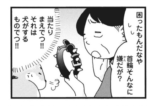 柴ばあと豆柴太