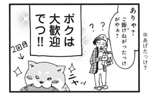 漫画 柴ばあと豆柴太 ヤマモトヨウコ 震災 3.11