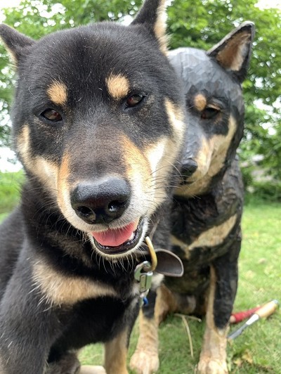 彫刻に寄せる月くん