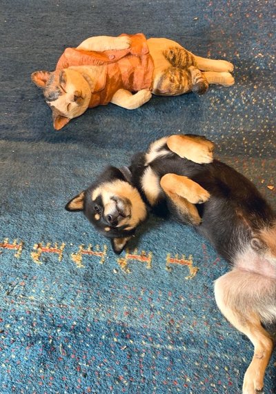 彫刻に寄せる月くん