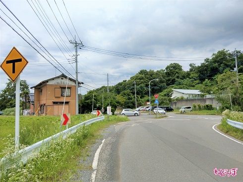 県道の側に「止まれ」の標識があります