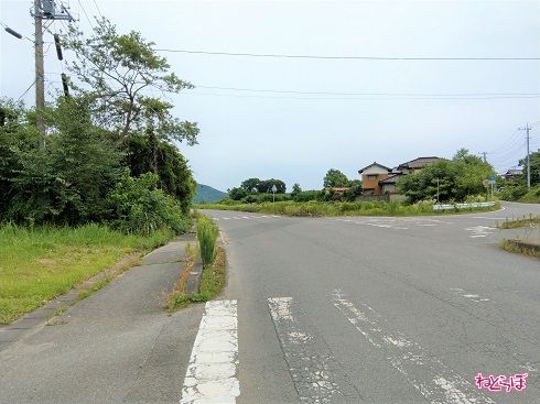 振り返って。直進が市道、右側が県道です
