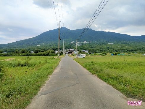 一見ふつうの田んぼ道ですが……