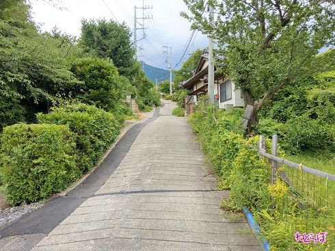 歩行者専用道路に見えますが、れっきとした県道です