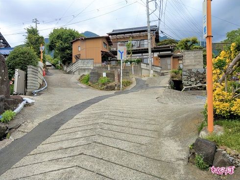 見た目で区別がつきませんが、県道は左です