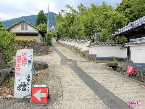 もっとも坂が急な部分は県道ではありません
