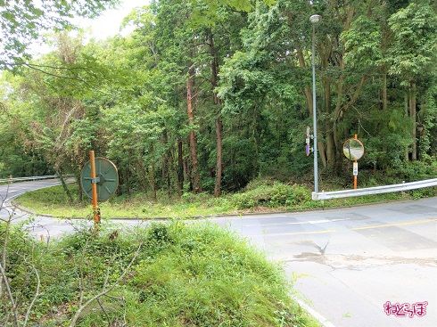 下りはともかく、登りの見通しはかなり悪いため、注意が必要です