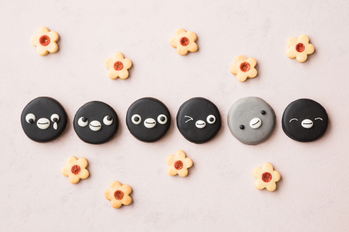 Suicaのペンギン クッキー詰め合わせ