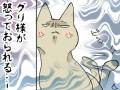 きょうだい猫のケンカが勃発！　その原因は……　姉猫が好きすぎる弟猫を描いた漫画が面白い