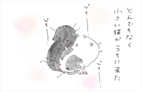 子猫保護漫画