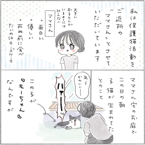 生後0日の子猫を保護した話