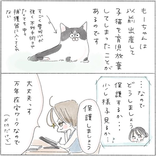 生後0日の子猫を保護した話