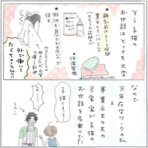 生後0日の子猫を保護した話