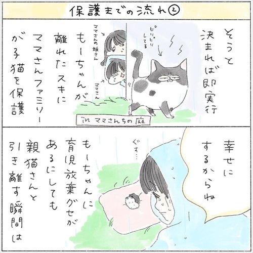 生後0日の子猫を保護した話