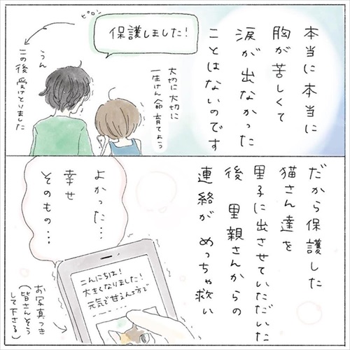 生後0日の子猫を保護した話