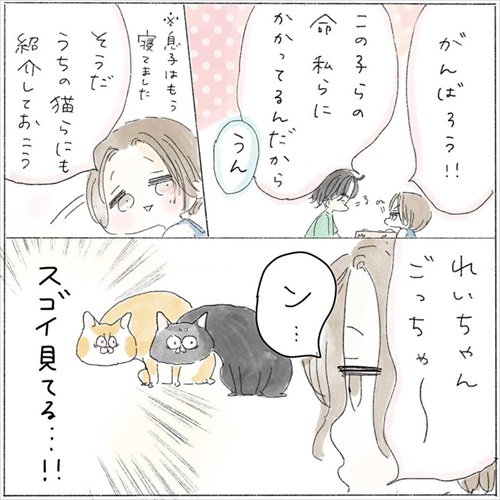 生後0日の子猫を保護した話