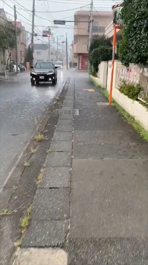 ゲリラ豪雨 動画 Twitter