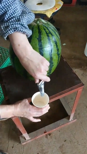 この蛇口をひねると……？