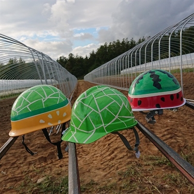 スイカやメロンのヘルメットも