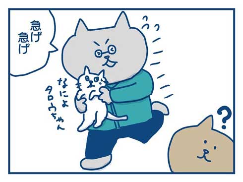 猫 完全室内飼い よその猫 マンション 見た反応 漫画 各駅ノミ