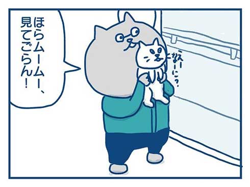 猫 完全室内飼い よその猫 マンション 見た反応 漫画 各駅ノミ