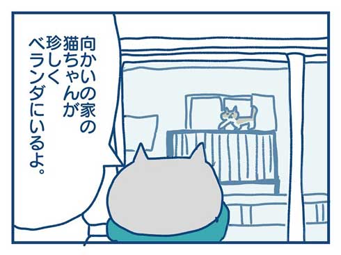 猫 完全室内飼い よその猫 マンション 見た反応 漫画 各駅ノミ