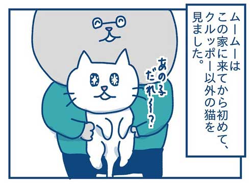 猫 完全室内飼い よその猫 マンション 見た反応 漫画 各駅ノミ