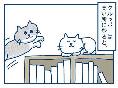 猫 完全室内飼い よその猫 マンション 見た反応 漫画 各駅ノミ