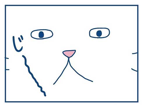 猫 完全室内飼い よその猫 マンション 見た反応 漫画 各駅ノミ