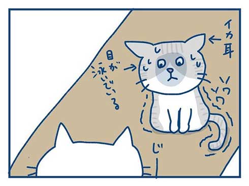 猫 完全室内飼い よその猫 マンション 見た反応 漫画 各駅ノミ