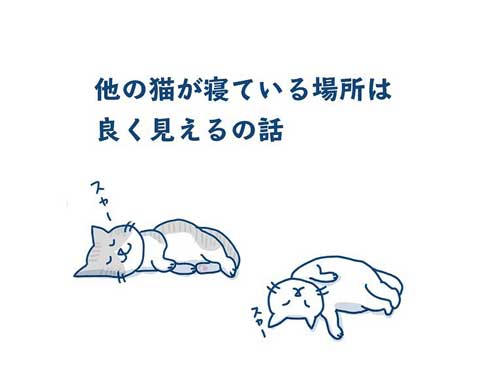 猫 完全室内飼い よその猫 マンション 見た反応 漫画 各駅ノミ