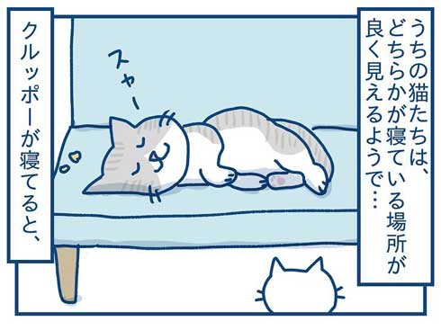猫 完全室内飼い よその猫 マンション 見た反応 漫画 各駅ノミ
