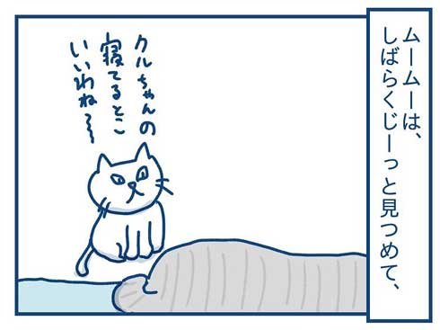 猫 完全室内飼い よその猫 マンション 見た反応 漫画 各駅ノミ