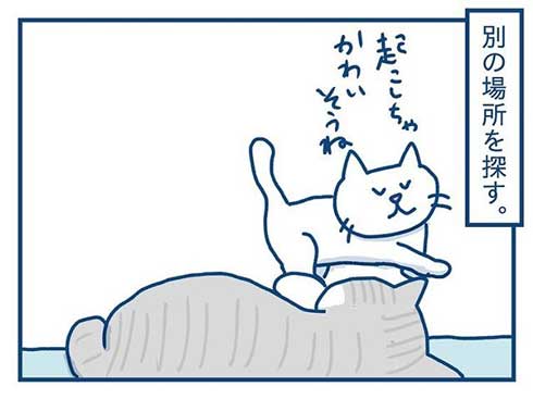 猫 完全室内飼い よその猫 マンション 見た反応 漫画 各駅ノミ