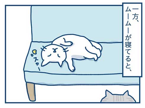 猫 完全室内飼い よその猫 マンション 見た反応 漫画 各駅ノミ