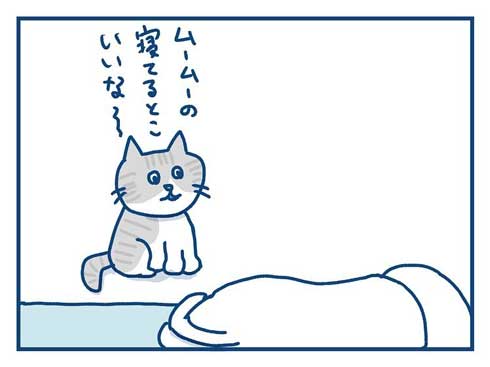 猫 完全室内飼い よその猫 マンション 見た反応 漫画 各駅ノミ