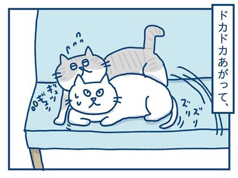 猫 完全室内飼い よその猫 マンション 見た反応 漫画 各駅ノミ