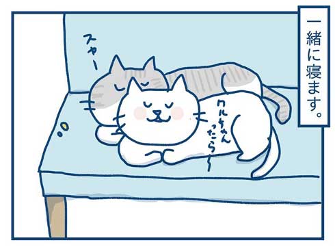 猫 完全室内飼い よその猫 マンション 見た反応 漫画 各駅ノミ