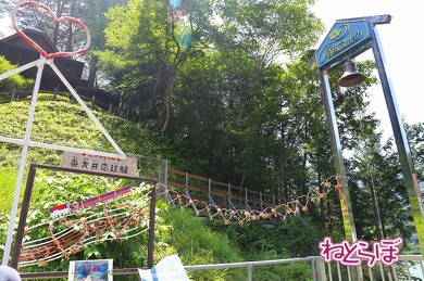 FDA 富士山静岡空港 大井川鐵道