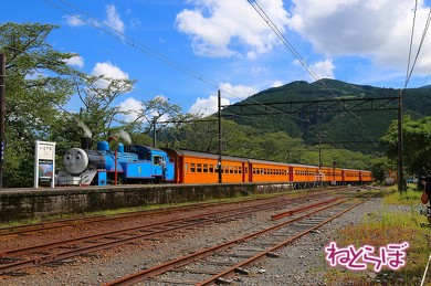 FDA 富士山静岡空港 大井川鐵道
