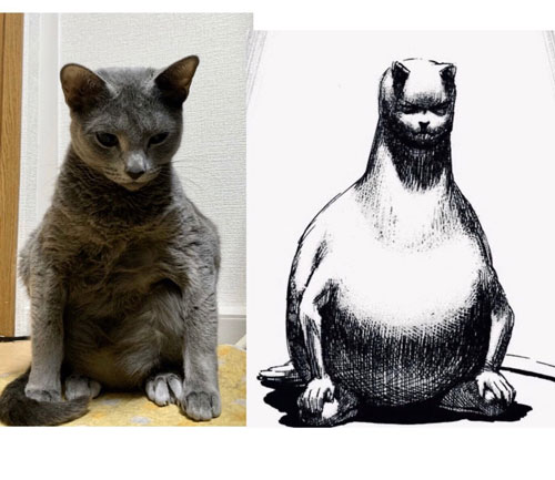 ニャンピョウとひじきさん