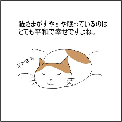 ネコちゃんが眠っているから