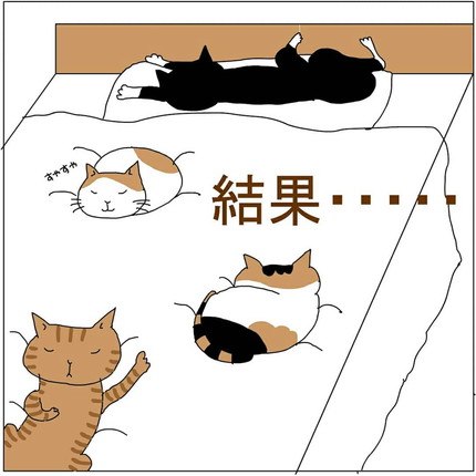 ネコちゃんが眠っているから